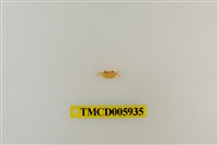 藏品(拉氏清溪蟹)的圖片